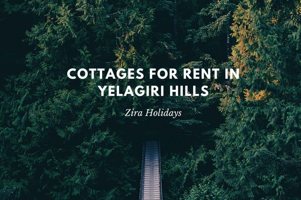Cottages for Rent in Yelagiri Hills