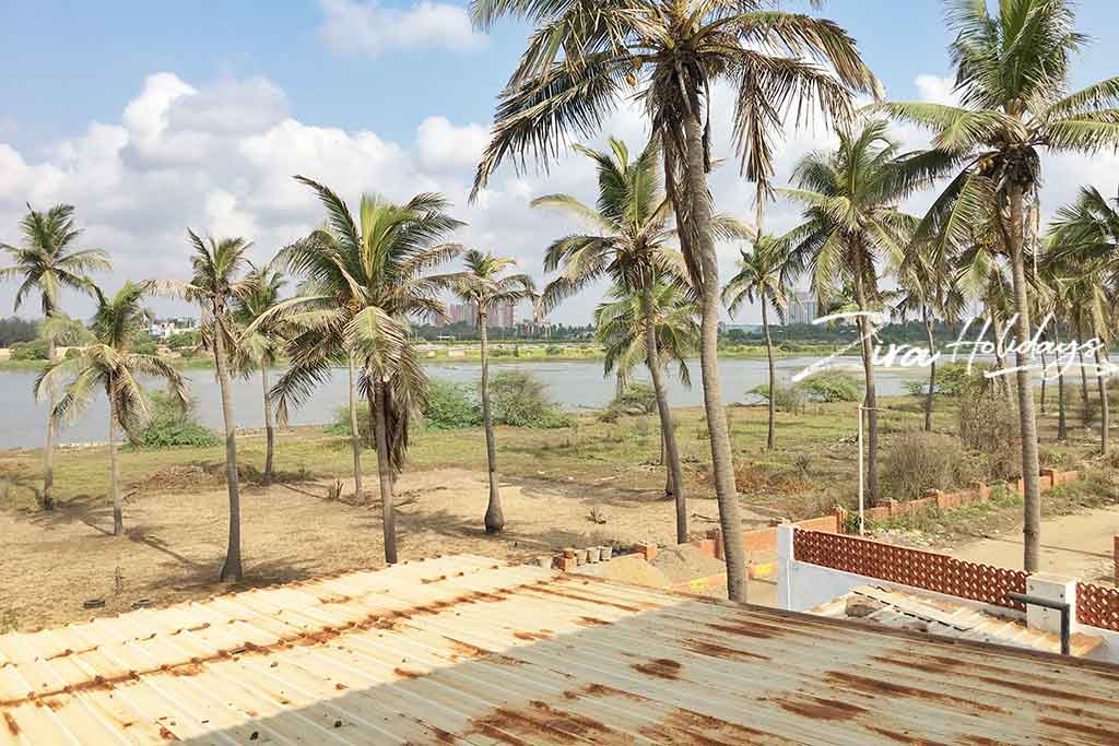 island beach house for rent in ecr