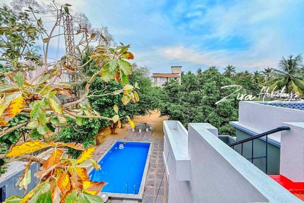 green treat farm house ecr swimming pool